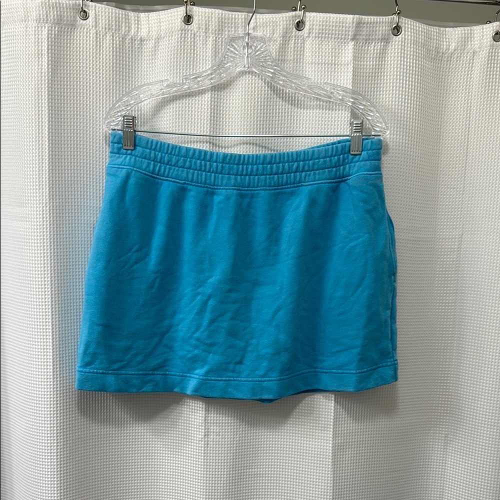American Eagle Outfitters Blue Mini Skirt